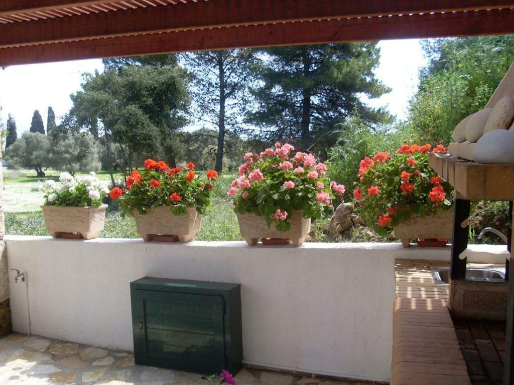 Villa Amelia Metaxáta Екстериор снимка